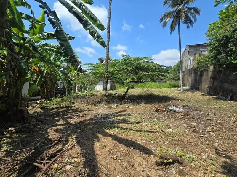 25P Bare Land For Sale In Piliyandala
