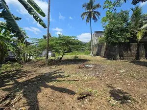 25P Bare Land For Sale In Piliyandala