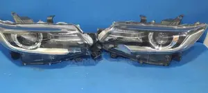 premio 260 (2018) Head Light