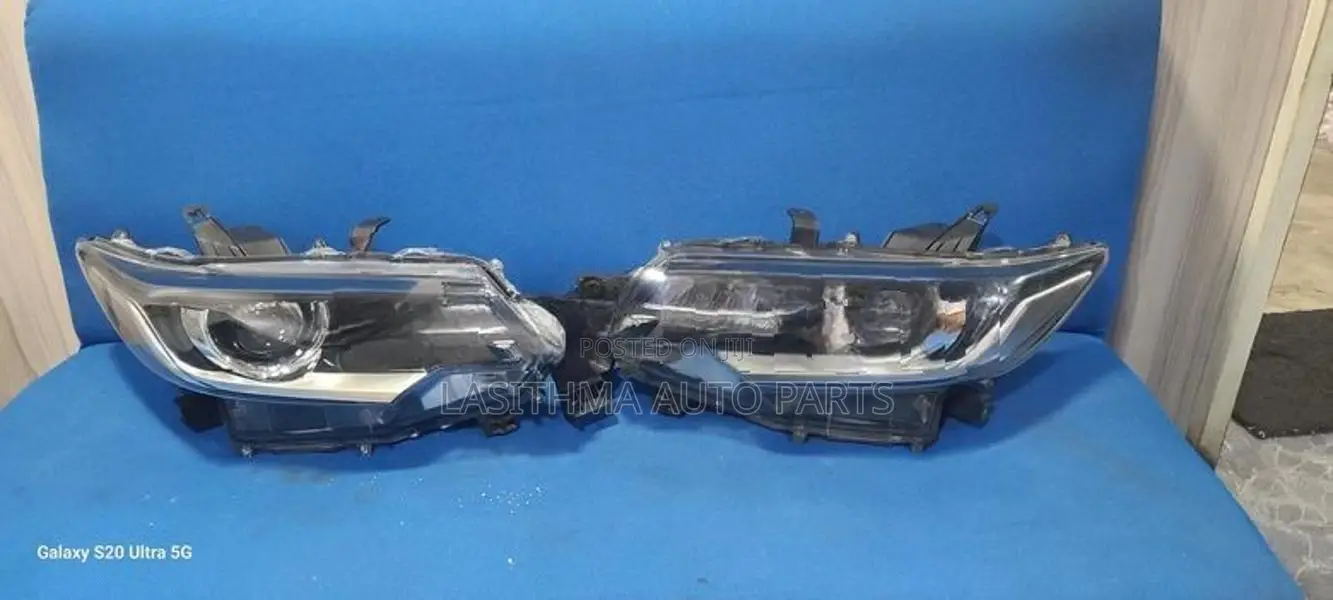 premio 260 (2018) Head Light