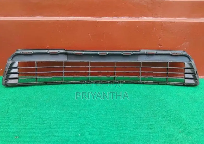 Toyota Axio 161 Buffer Grill/Mesh