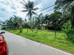 (NNI-100) 71 P Land Sale At Lake Rd Pelawatha Battramulla
