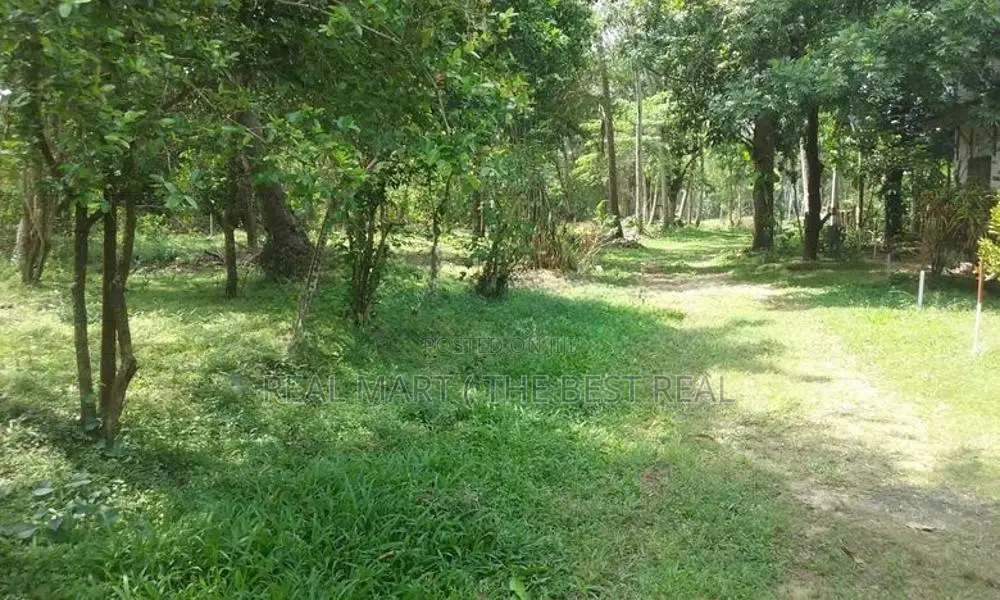 කුරුණෑගල වාරියපොල පර්චස් 290 ක ඉඩමක් විකිණීමට ඇත