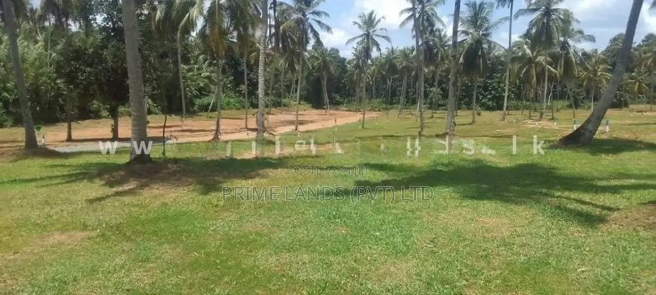 Land for Sale Minuwangoda
