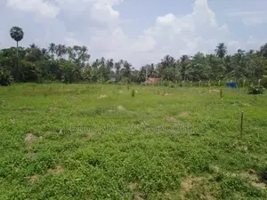 1167.5P Land for Sale in Minhetiya, Baddegama, Kurunegala (SL 14616)