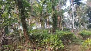 House with land for sale Rathnapura