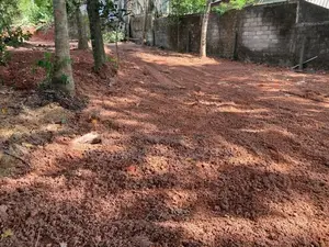 Gampaha : 20 Perches Highly Residential Land in Bendiyamulla