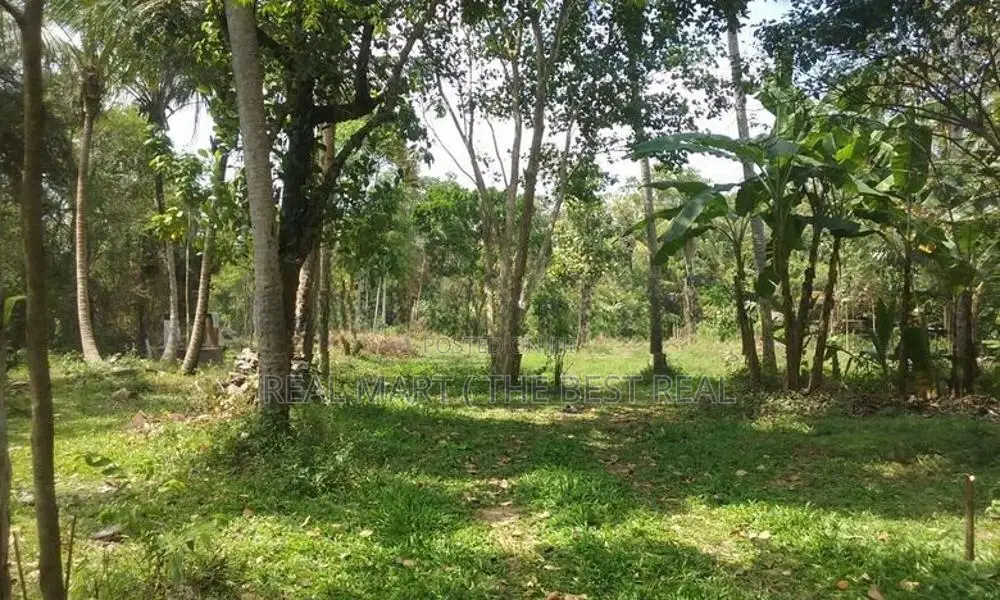 කුරුණෑගල වාරියපොල පර්චස් 290 ක ඉඩමක් විකිණීමට ඇත