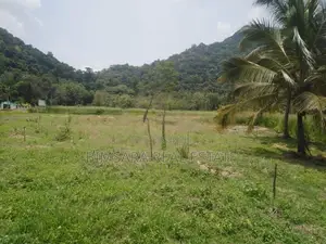1167.5P Land for Sale in Minhetiya, Baddegama, Kurunegala (SL 14616)