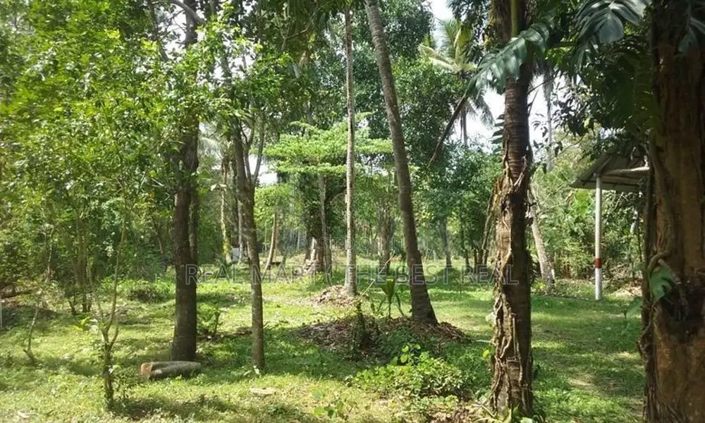 කුරුණෑගල වාරියපොල පර්චස් 290 ක ඉඩමක් විකිණීමට ඇත