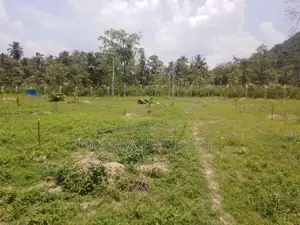 1167.5P Land for Sale in Minhetiya, Baddegama, Kurunegala (SL 14616)