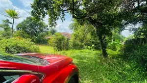 (AFA130 )74.8 p Bare Land Sale At Hokandara Thalawathugoda