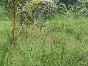 Bare land in Gonapala