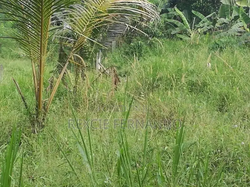 Bare land in Gonapala