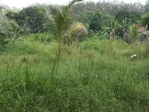 Bare land in Gonapala
