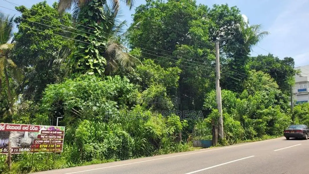 4.5 Acres Commercial Land for Sale in Thalawathugoda