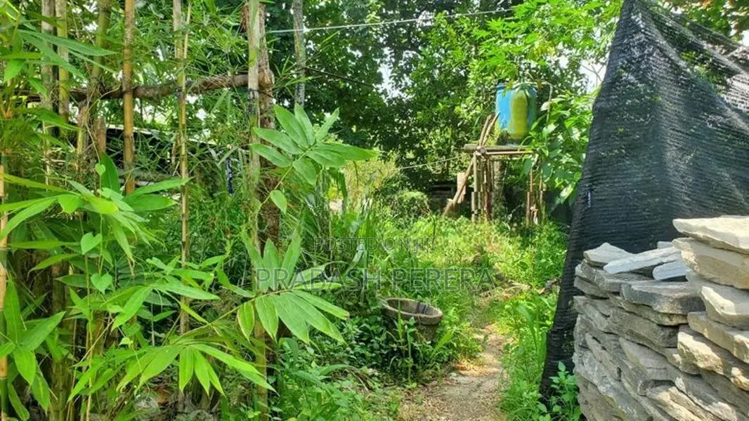 4.5 Acres Commercial Land for Sale in Thalawathugoda