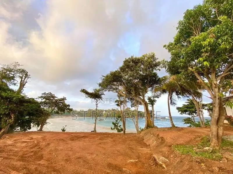 99P Beach Front Bare Land For Sale In Matara