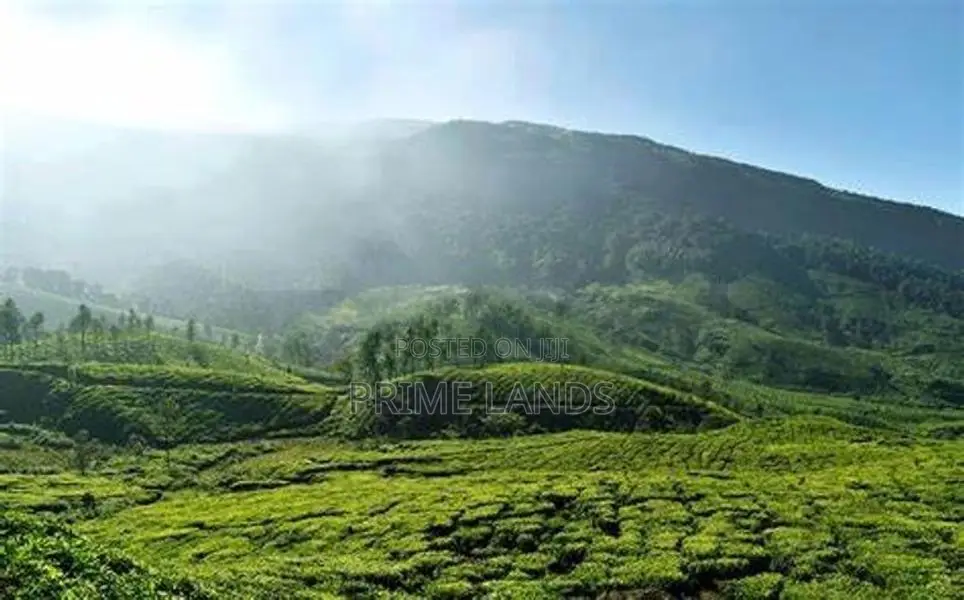 Nuwaraeliya road land for sale pudaluoya