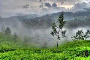 Land for Sale in Nuwara Eliya