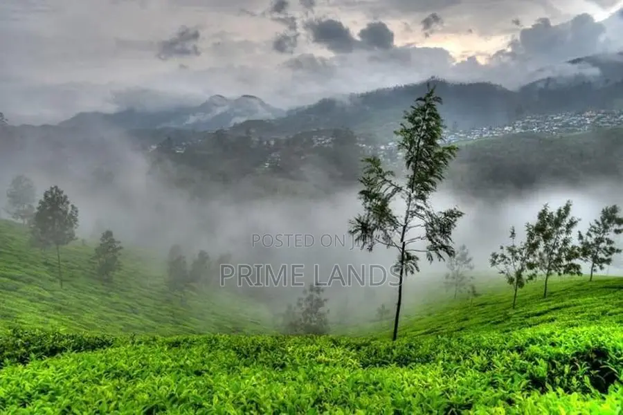 Land for Sale in Nuwara Eliya
