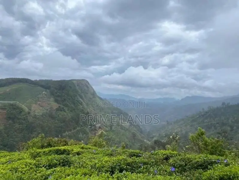Nuwaraeliya road land for sale pudaluoya