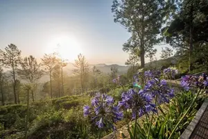 Holdy view point land for sale Nuwara Eliya pudaluoya