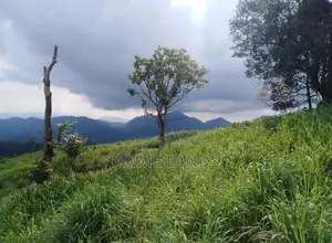 Land for Sale in Nuwara Eliya