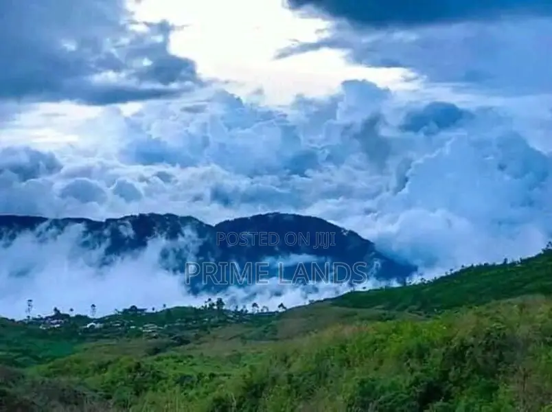Holdy view point land for sale Nuwara Eliya pudaluoya