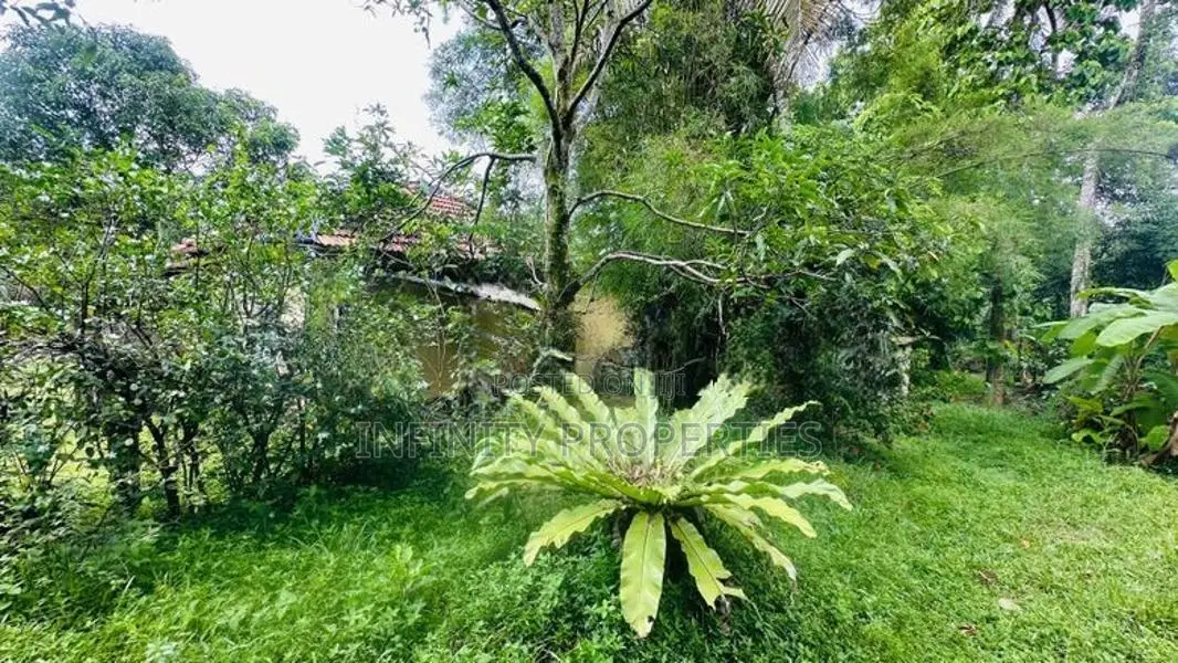 (NNI-186) 74.8 p Bare Land Sale At Hokandara Thalawathugoda