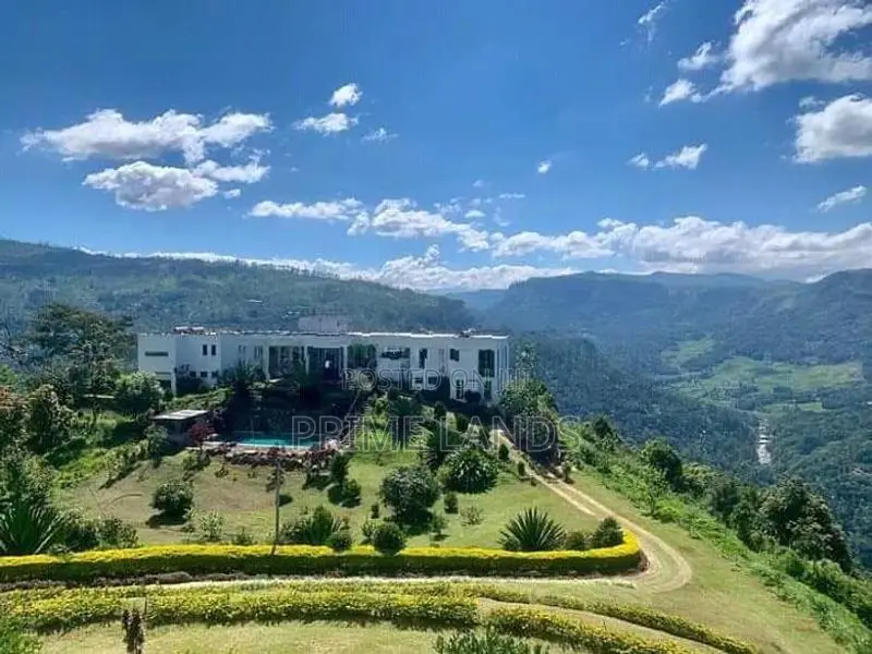 Holdy view point land for sale Nuwara Eliya pudaluoya
