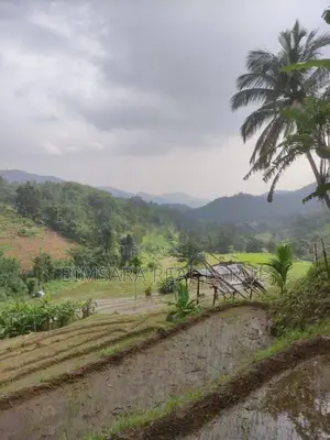3-Acre Scenic Land for Sale – Hunnasgiriya, Keulgama (SL 14620)