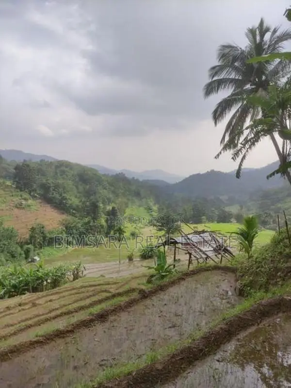 3-Acre Scenic Land for Sale – Hunnasgiriya, Keulgama (SL 14620)
