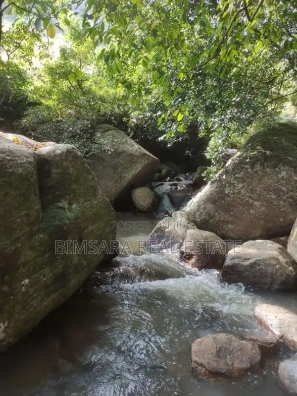 3-Acre Scenic Land for Sale – Hunnasgiriya, Keulgama (SL 14620)