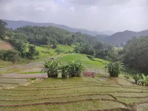 3-Acre Scenic Land for Sale – Hunnasgiriya, Keulgama (SL 14620)