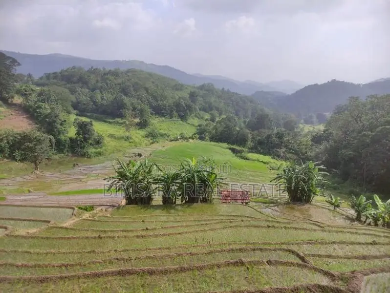 3-Acre Scenic Land for Sale – Hunnasgiriya, Keulgama (SL 14620)
