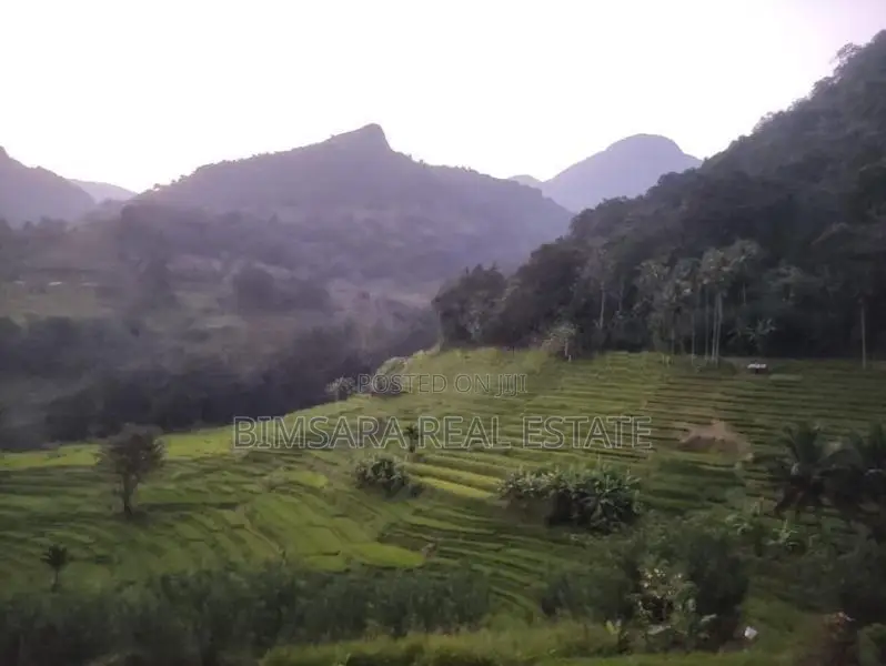 3-Acre Scenic Land for Sale – Hunnasgiriya, Keulgama (SL 14620)