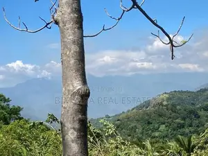 3-Acre Scenic Land for Sale – Hunnasgiriya, Keulgama (SL 14620)