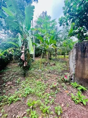 Land for sale in Kesbewa ( Polgasowita)
