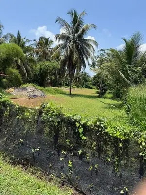 Ja Ela : 86 Perches Land for Sale at Bopitiya road