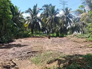 Wellampitiya : 46 Perches Land for Sale at Gothami mawatha