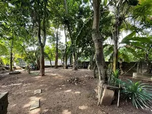 Land for sale in Colombo 05