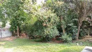 Land for sale in Wattala ( Mabola)