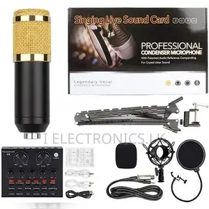 Professional Condenser Microphone with V8 Soundcard