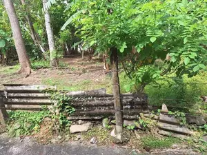 Land for Sale in Dehiwala ( Pepiliyana )