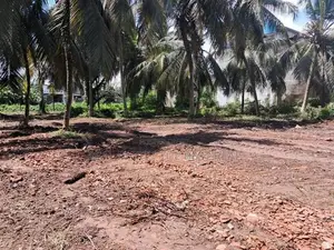 Wellampitiya : 46 Perches Land for Sale at Gothami mawatha