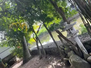 Land for sale in Colombo 05