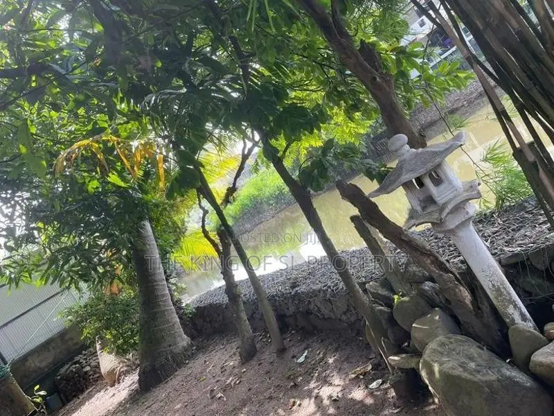 Land for sale in Colombo 05