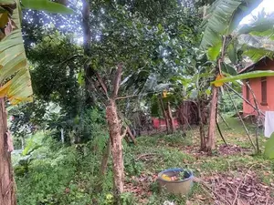 Land for sale in Ragama