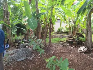 Land for Sale in Dehiwala ( Pepiliyana )